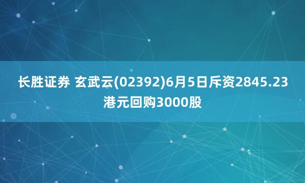 长胜证券 玄武云(02392)6月5日斥资2845.23港元回购3000股