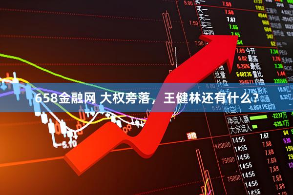 658金融网 大权旁落，王健林还有什么？