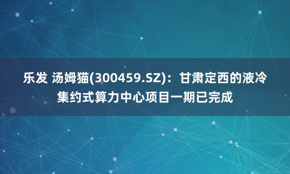 乐发 汤姆猫(300459.SZ)：甘肃定西的液冷集约式算力中心项目一期已完成