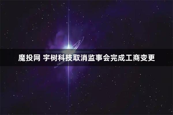 魔投网 宇树科技取消监事会完成工商变更