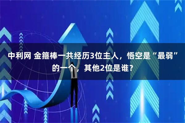 中利网 金箍棒一共经历3位主人,悟空是“最弱”的一个,其他2位是谁?